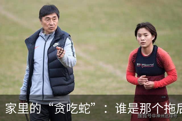 家里的“贪吃蛇”：谁是那个拖后腿的人？